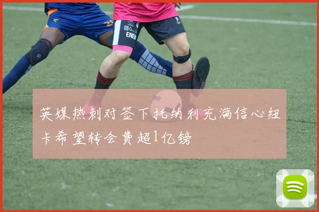 英媒热刺对签下托纳利充满信心纽卡希望转会费超1亿镑