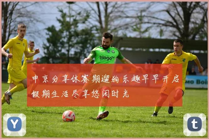 申京分享休赛期遛狗乐趣早早开启假期生活尽享悠闲时光
